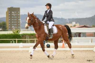 DOMA02032025M-103