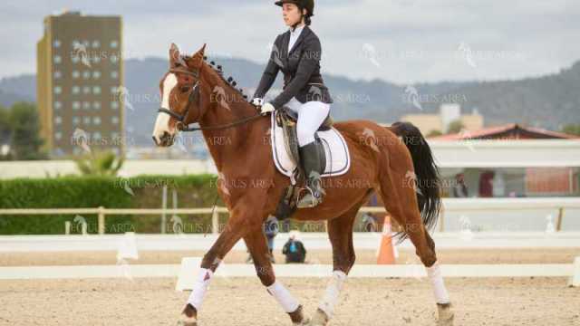 DOMA02032025M-103