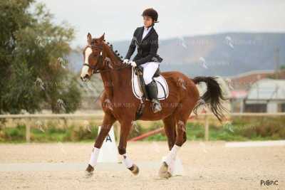 DOMA02032025M-104