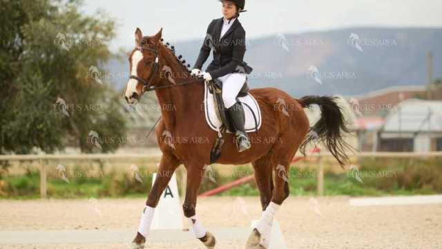 DOMA02032025M-104