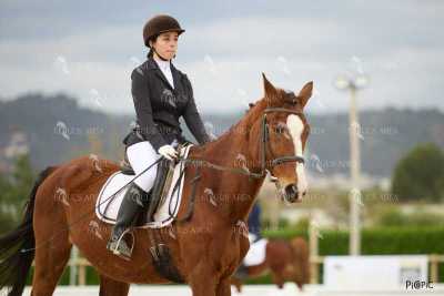 DOMA02032025M-105