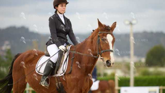 DOMA02032025M-105