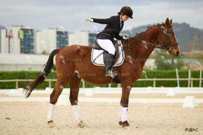 DOMA02032025M-106