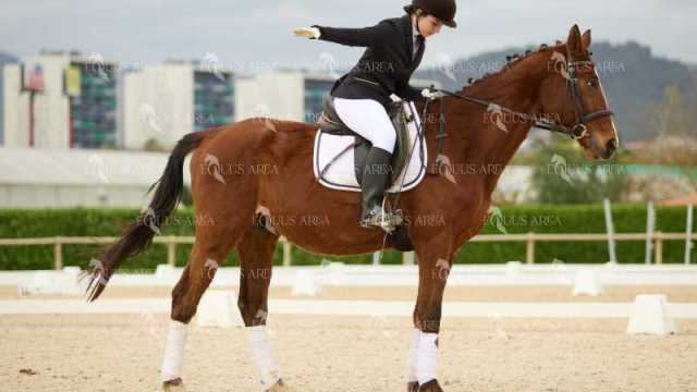 DOMA02032025M-106