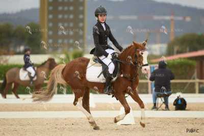DOMA02032025M-107