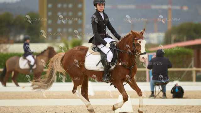 DOMA02032025M-107