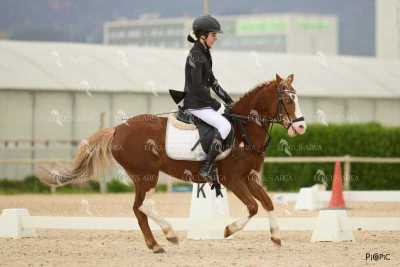 DOMA02032025M-108