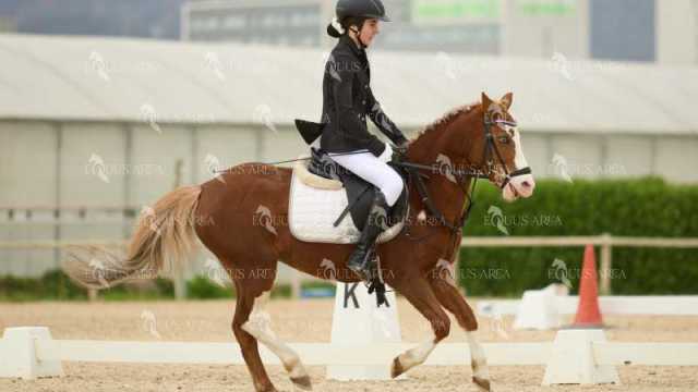 DOMA02032025M-108