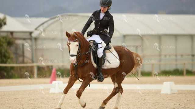 DOMA02032025M-109