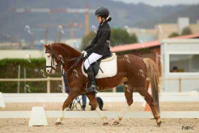 DOMA02032025M-110
