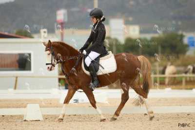 DOMA02032025M-111