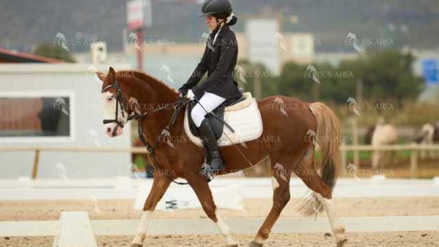 DOMA02032025M-111