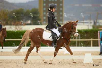 DOMA02032025M-112