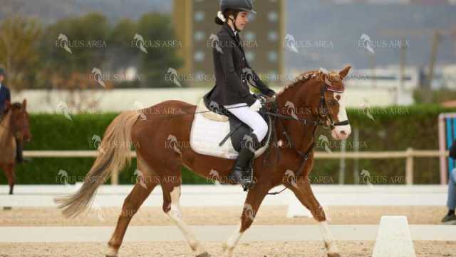DOMA02032025M-112