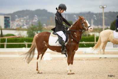 DOMA02032025M-113