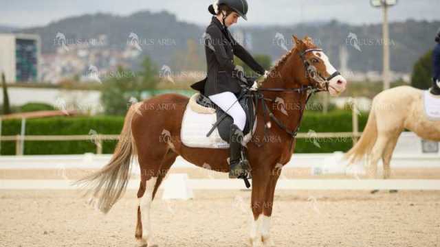 DOMA02032025M-113