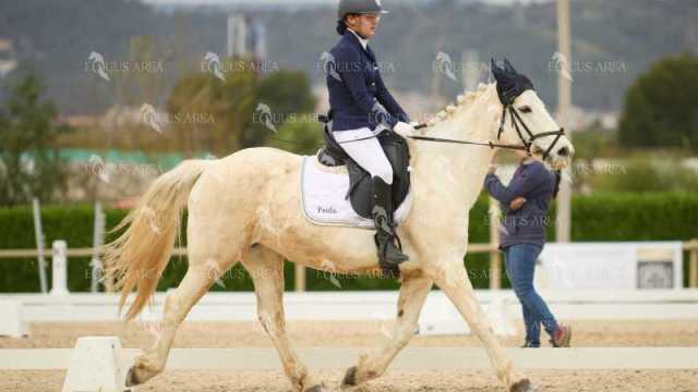 DOMA02032025M-114