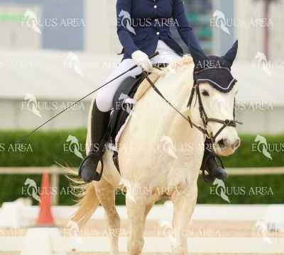 DOMA02032025M-116