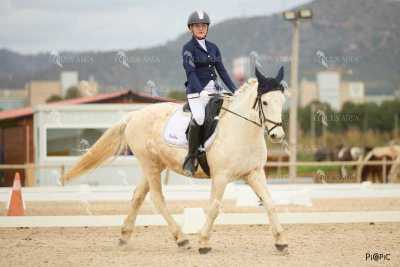 DOMA02032025M-117