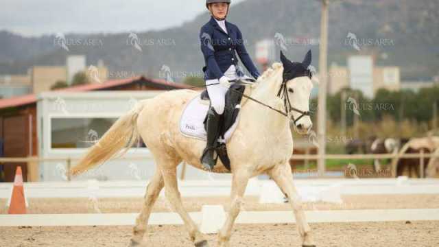 DOMA02032025M-117