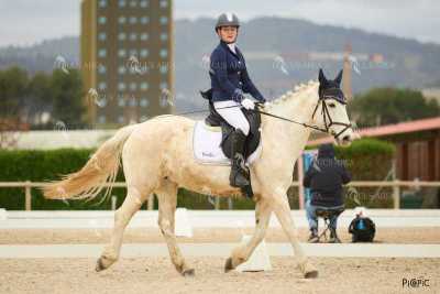 DOMA02032025M-118