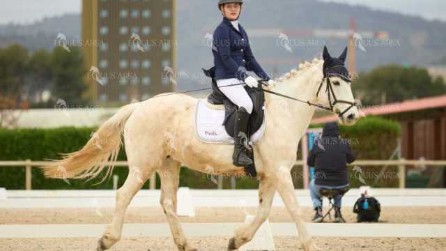 DOMA02032025M-118