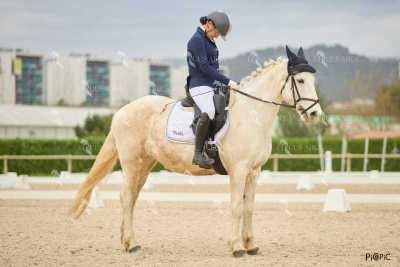 DOMA02032025M-119