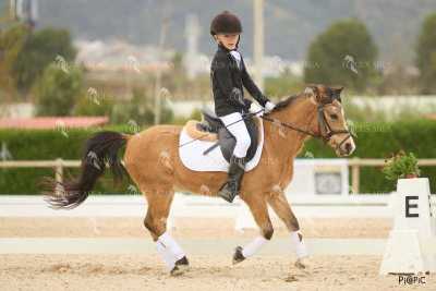 DOMA02032025M-121