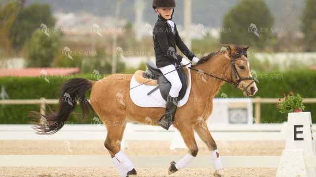 DOMA02032025M-121