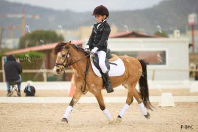 DOMA02032025M-122
