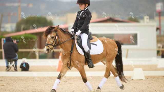 DOMA02032025M-122
