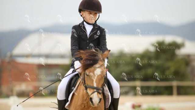 DOMA02032025M-123