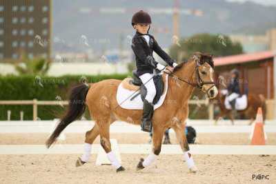 DOMA02032025M-124