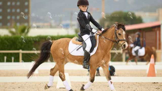 DOMA02032025M-124