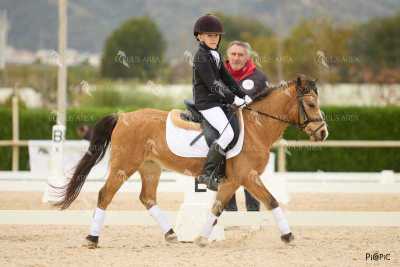 DOMA02032025M-125