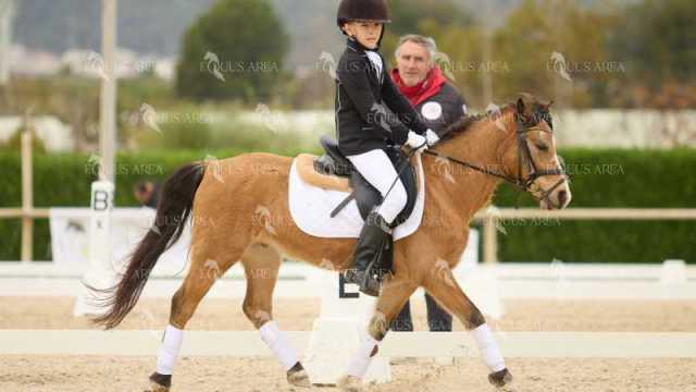 DOMA02032025M-125