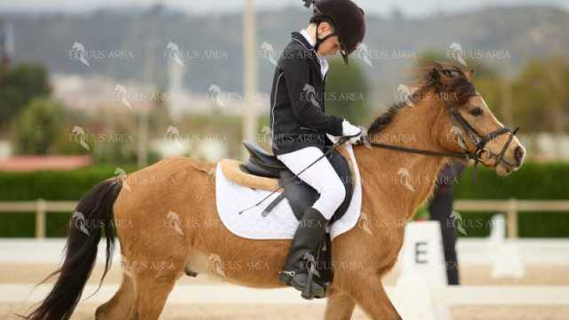 DOMA02032025M-126
