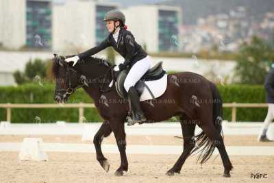 DOMA02032025M-127