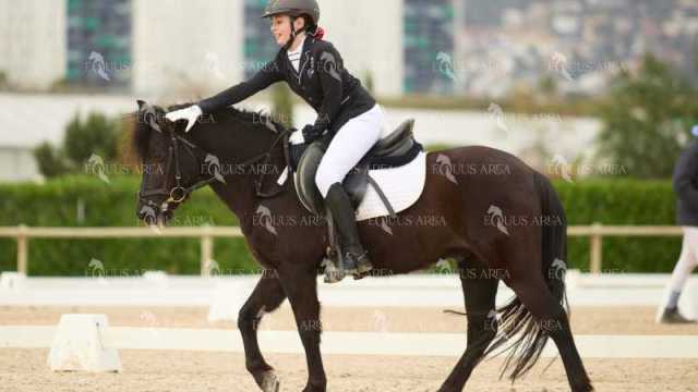 DOMA02032025M-127