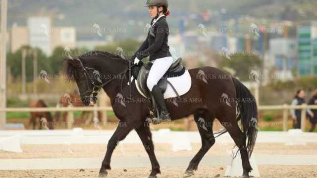 DOMA02032025M-128
