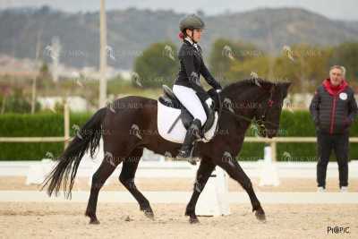 DOMA02032025M-129