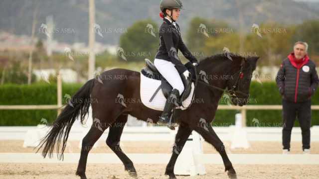 DOMA02032025M-129
