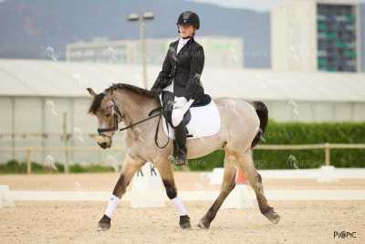 DOMA02032025M-131