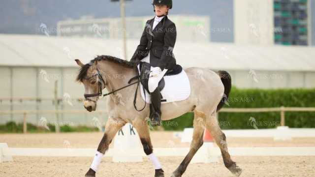 DOMA02032025M-131