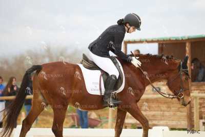 DOMA02032025M-133