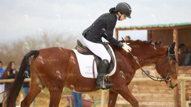 DOMA02032025M-133