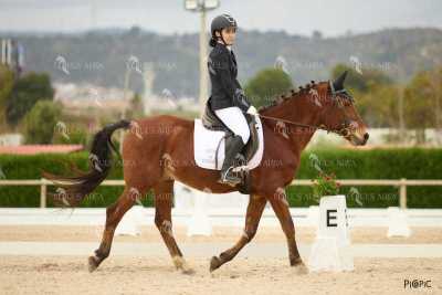 DOMA02032025M-134