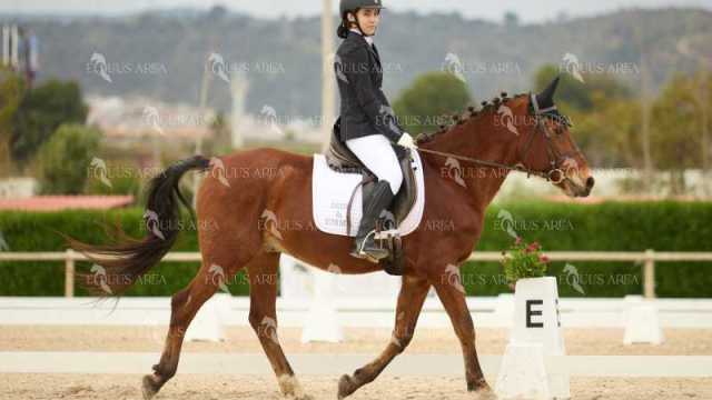DOMA02032025M-134