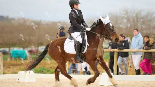 DOMA02032025M-138