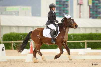 DOMA02032025M-139